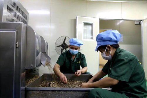 李茂濤深入重點工業企業走訪調研，聚焦技術交流與創新發展